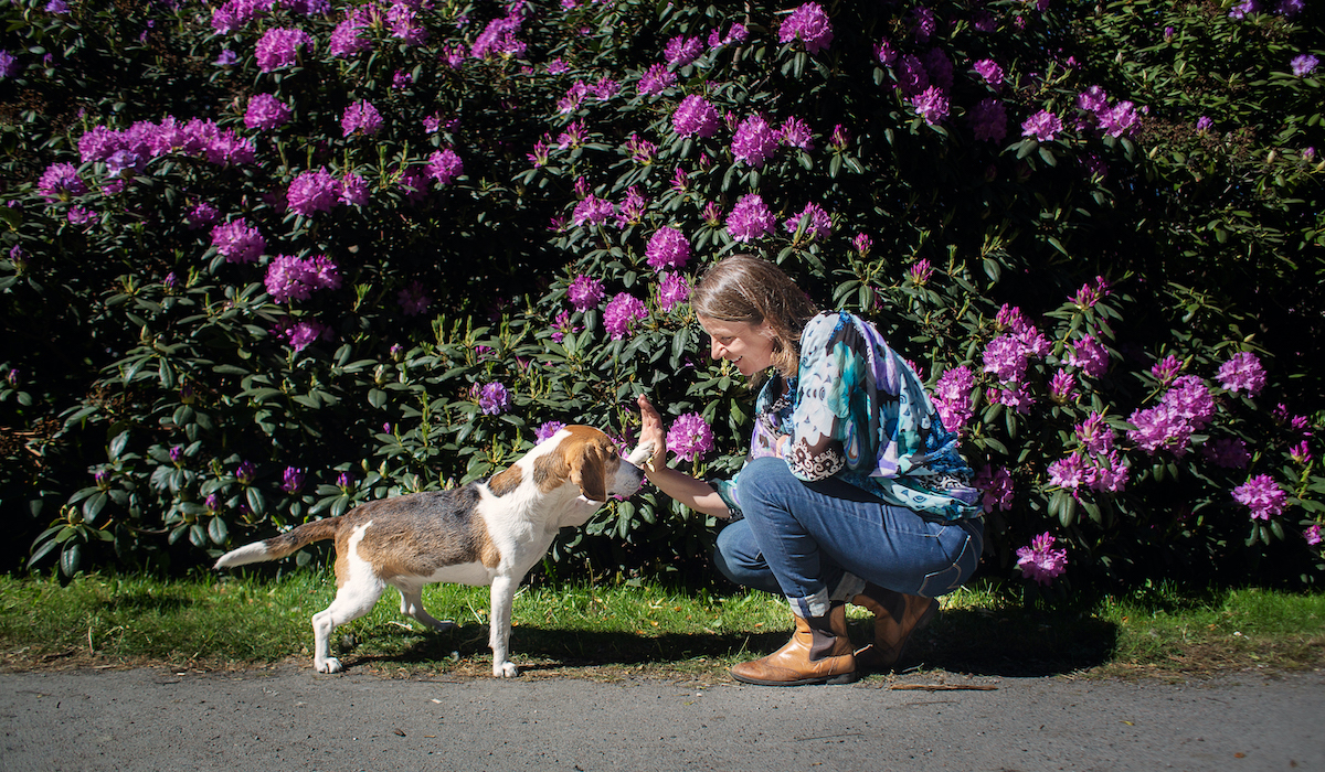 Kicki Fellstenius tycker att relationen mellan människa och hund ska byggas genom trygghet och samarbete.