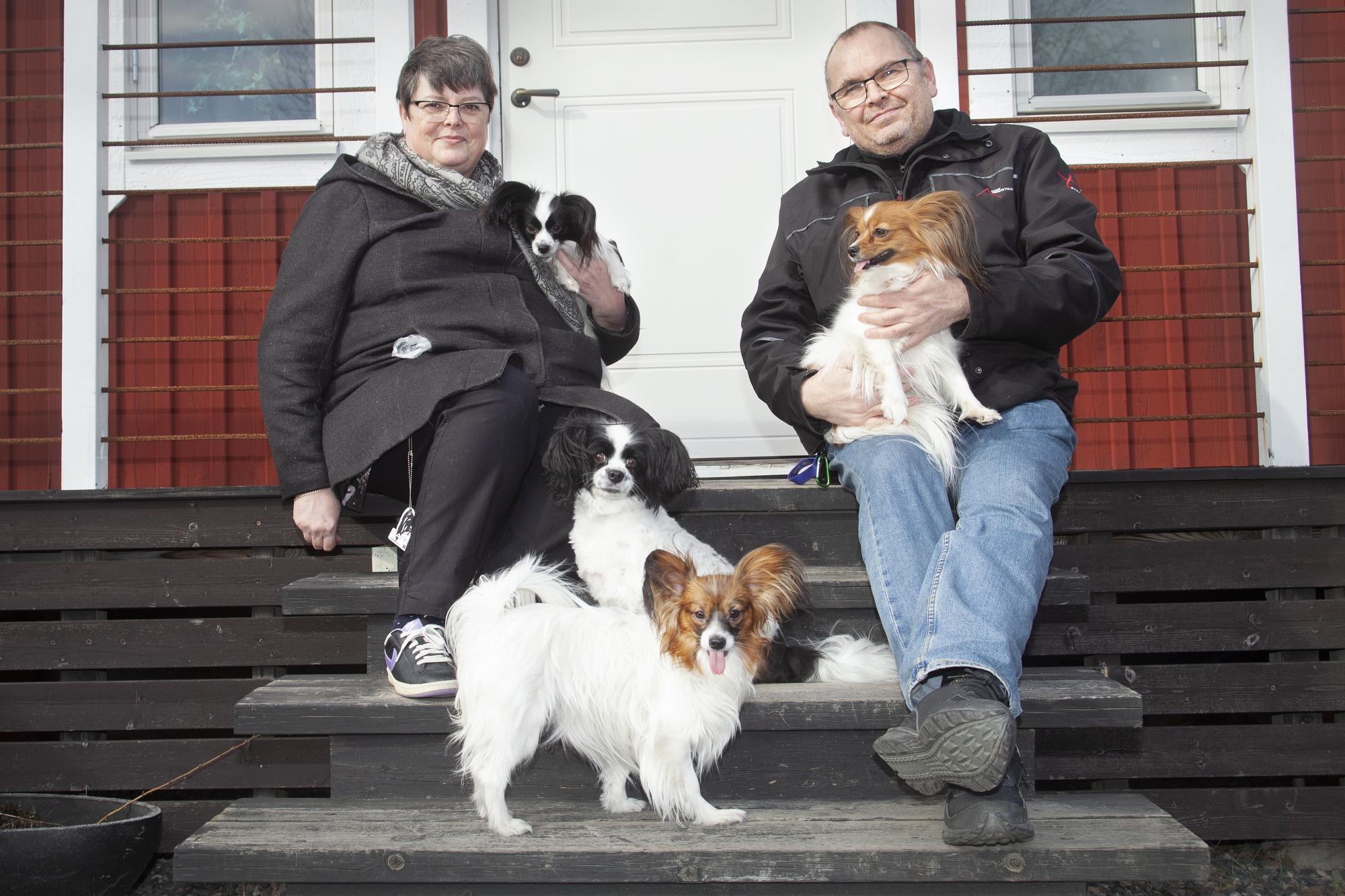 Pia och Anders Sjödin saknar mest av allt genemskapen med andra Papillonägare som de har på utställningar.