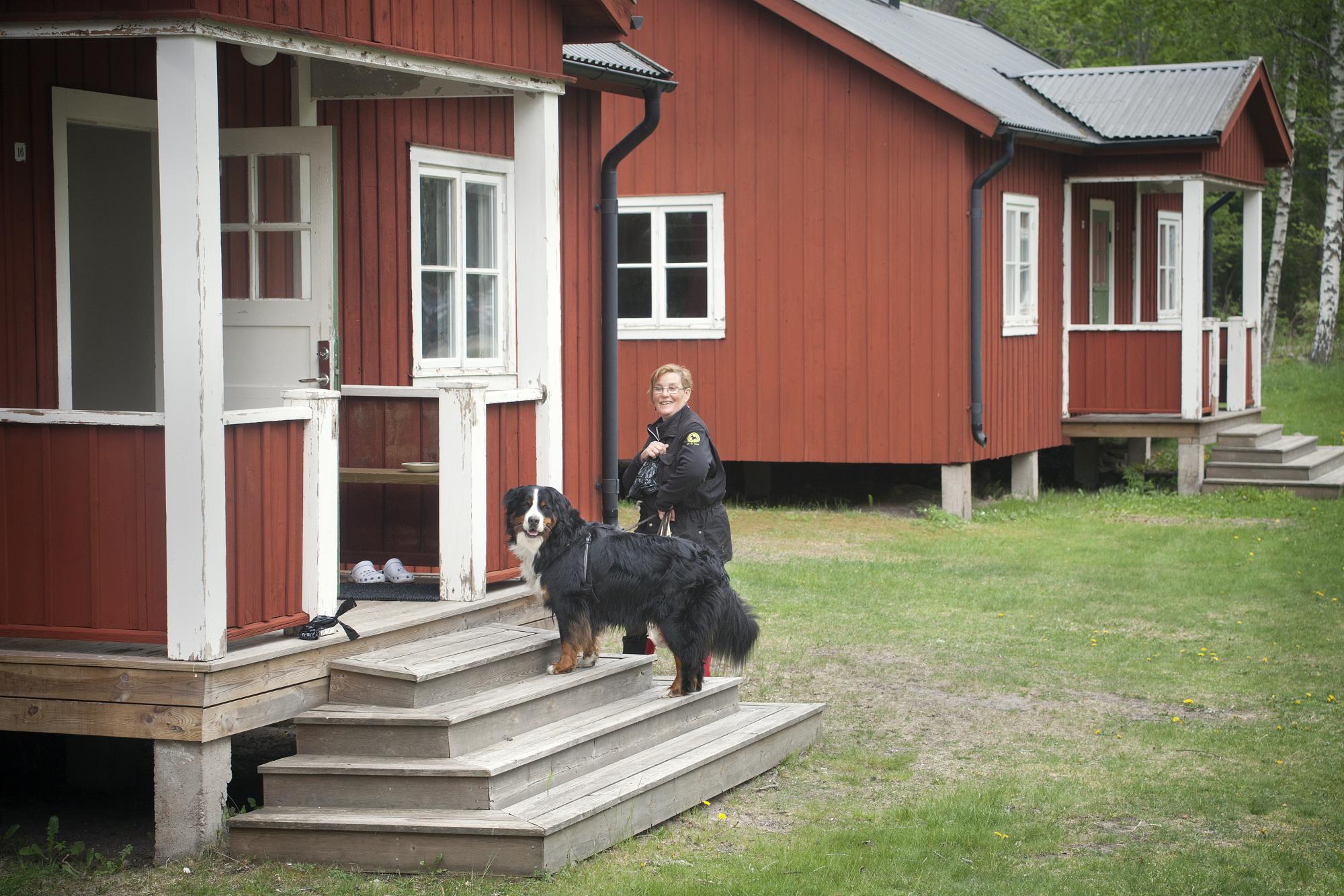 Detta år var första året som Svenska Hundklubb arrangerade sommarlägret i Sågarbo utanför Gävle. I en av stugorna bodde <span style=\
