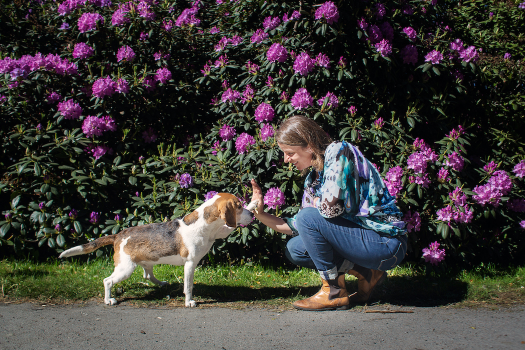 <span>Kicki Fellstenius tycker att relationen mellan människa och hund ska byggas genom trygghet och samarbete.</span>