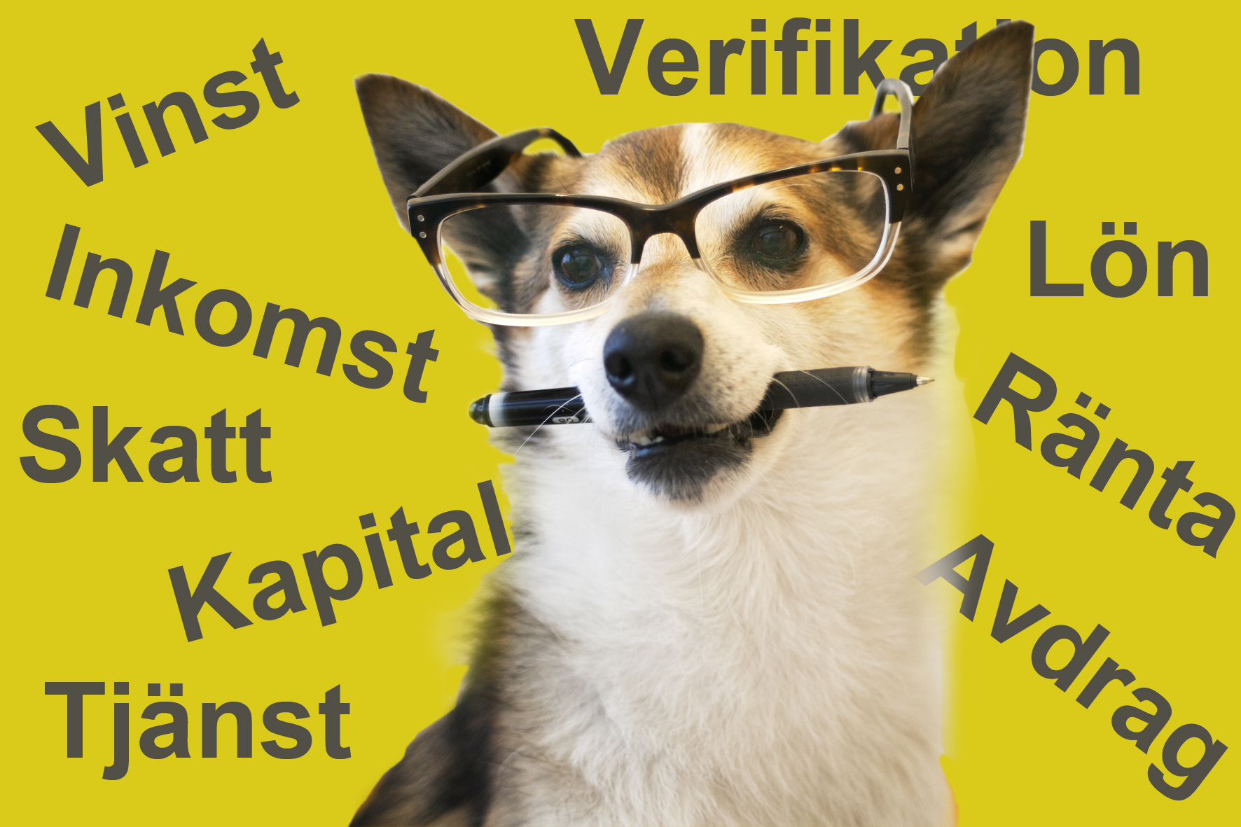 Den 2 maj 2019 skall deklarationen vara inlmnad.