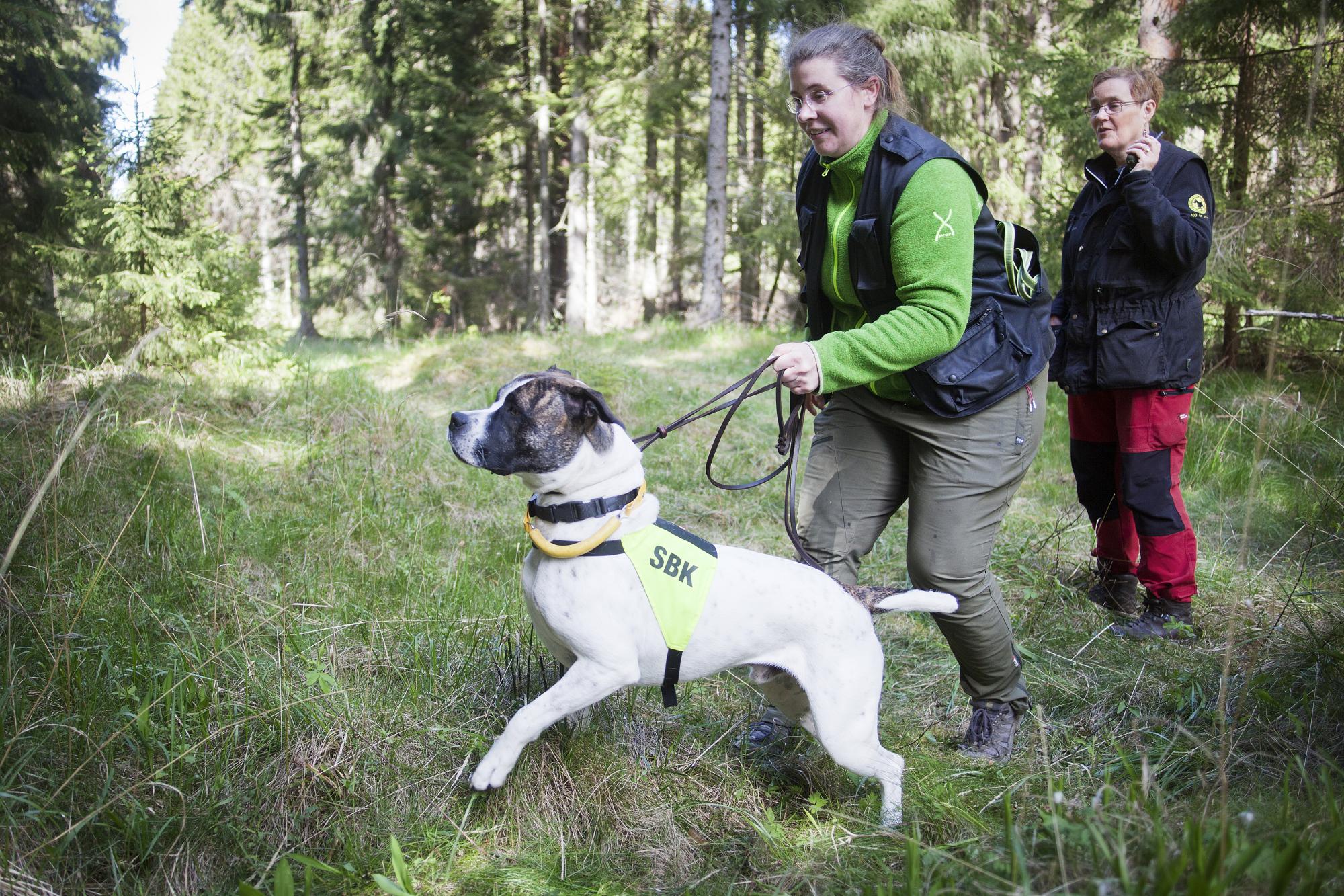 <span>Frida Arnlunds hund Best är av rasen Americansk Bulldog som inte är godkänd av SKK, men däremot Svenska Hundklubben. </span>