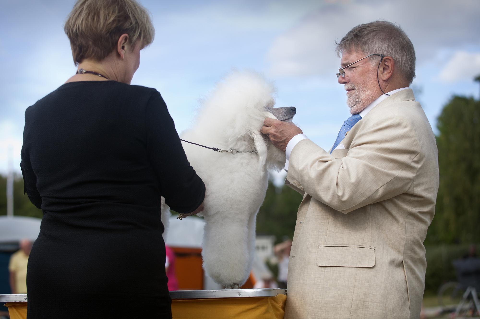 Nils-Arne Törnlöv utsåg Best in show-hundarna.