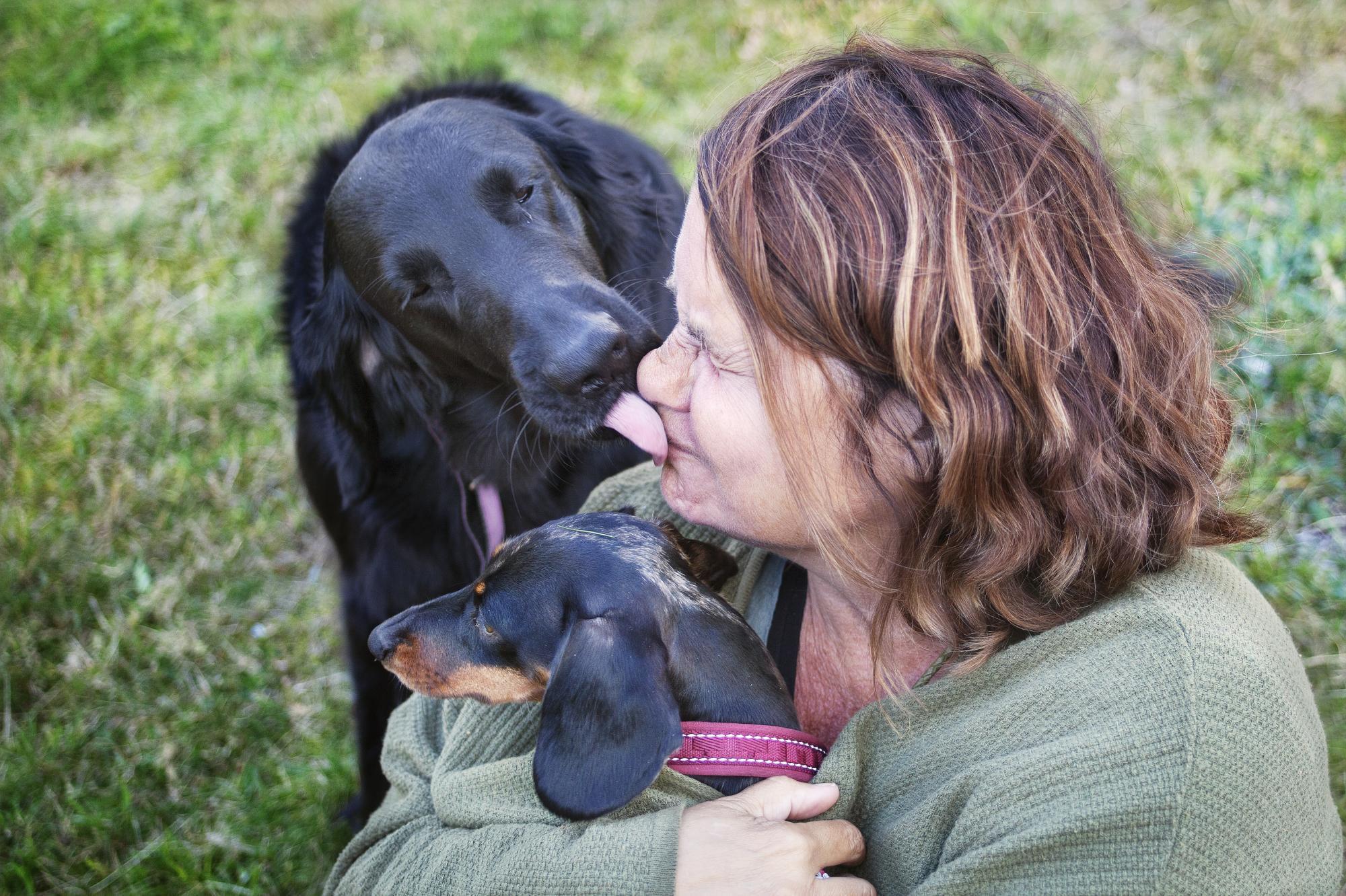 Cilla överöses av Novas pussar. Den som fikar tillsammans med sin hund stärker relationen och <span>ägaren blir en resurs menar Cilla. </span>