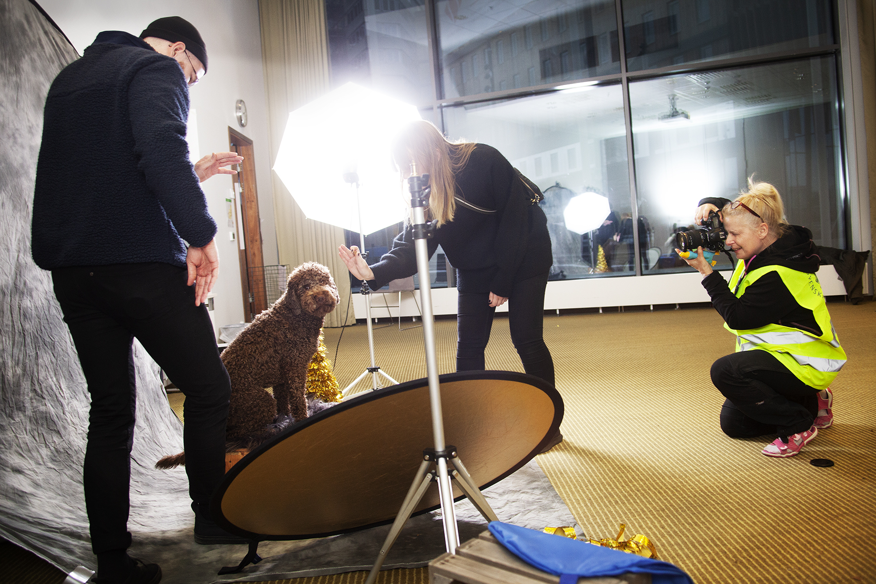 Fredrik Linqvist och Julia Ställmars Lagotto Pablo blev förevigad av fotograf Anette Björkman Bergström. Detta var Pablos första nyårsfirande och husse tyckte det var bra att ta det säkra före det osäkra och undvika fyrverkerierna.