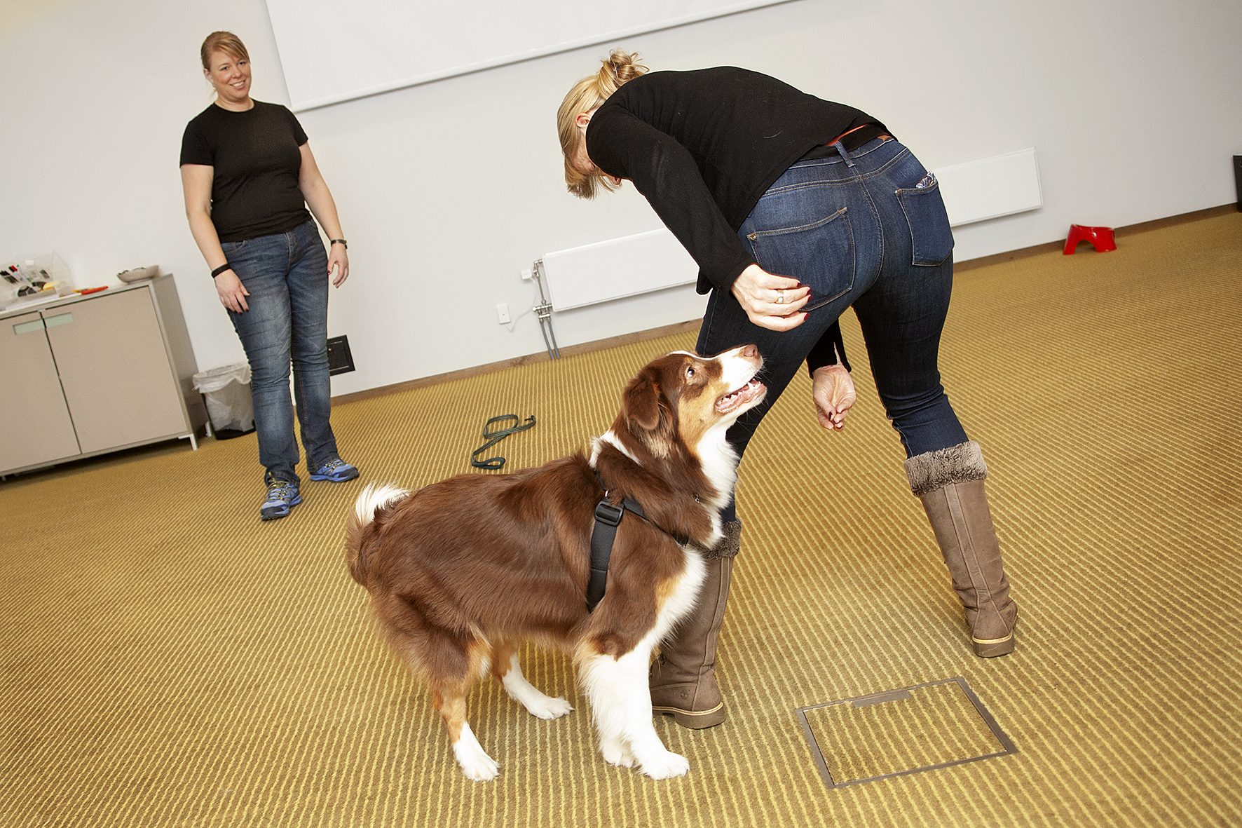 <span>Marie-Anne Brändström testar freestyletrick med sin hund Polly \